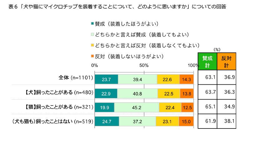 表6