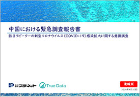 2020 中国における緊急調査