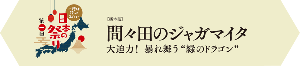 間々田のジャガマイタ　大迫力！暴れ舞う緑のドラゴン